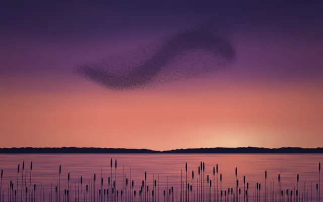 A dark ribbon of starlings curves across a purple and coral dusk sky above a lake and reeds in silhouette.