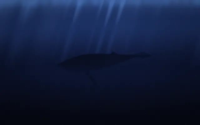A humpback whale glides through deep navy water in near silhouette, with pale shafts of light falling from above.